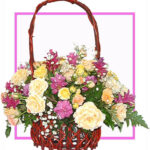 Larkspur